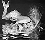 Daniela Rodler