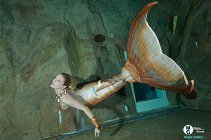 Diver´s Indoor Tauchzentrum München
